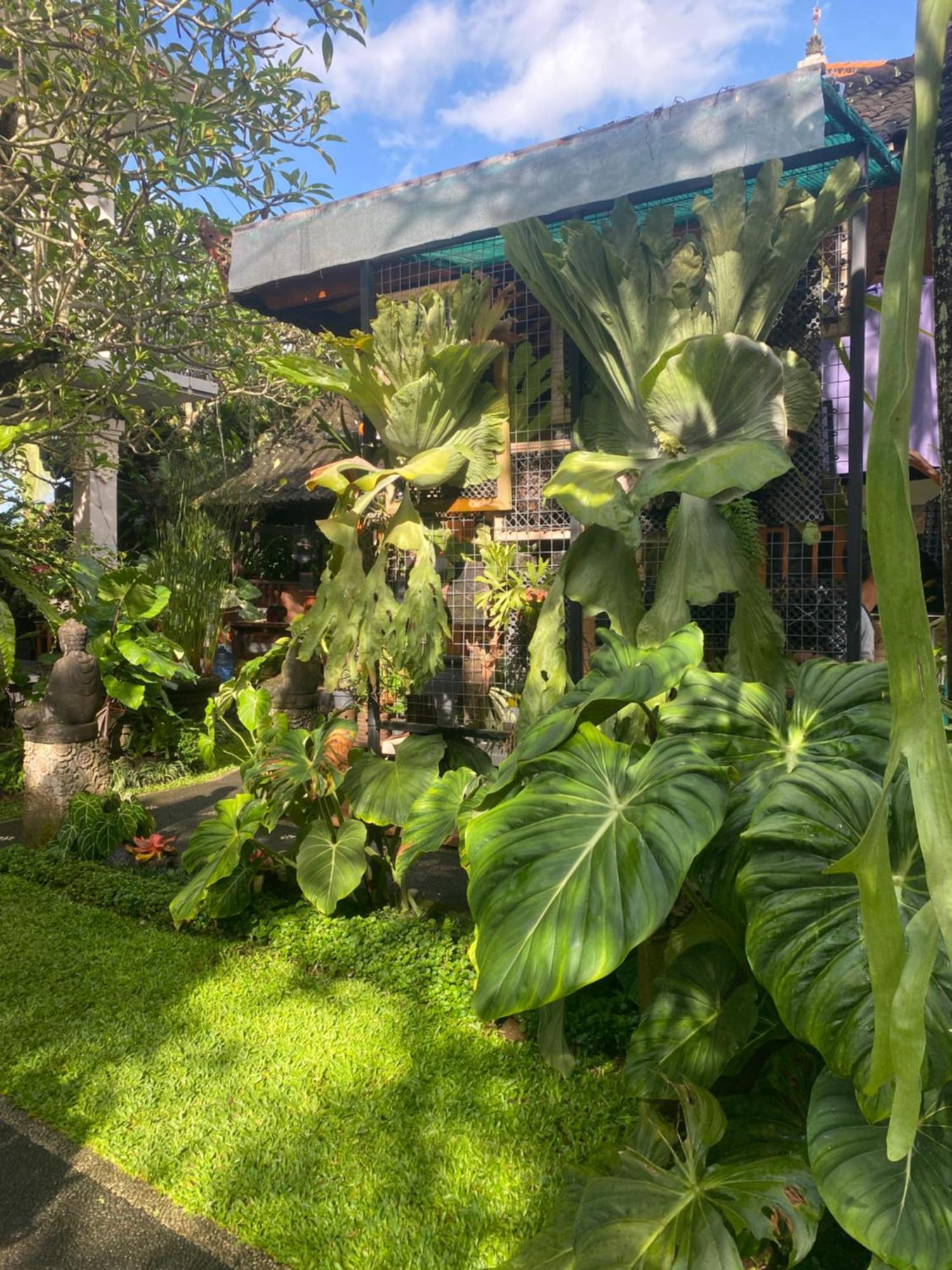Suryadina Guest House Ubud Exteriör bild