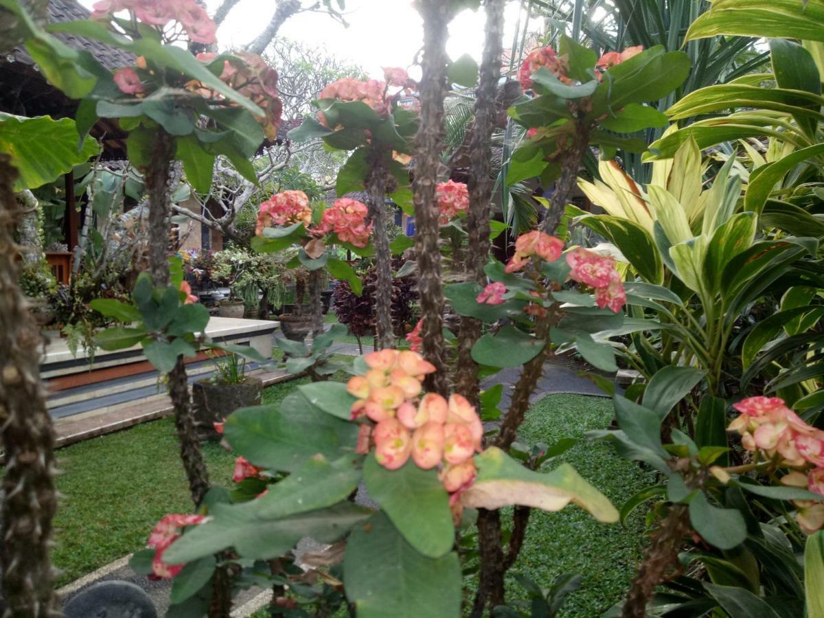 Suryadina Guest House Ubud Exteriör bild