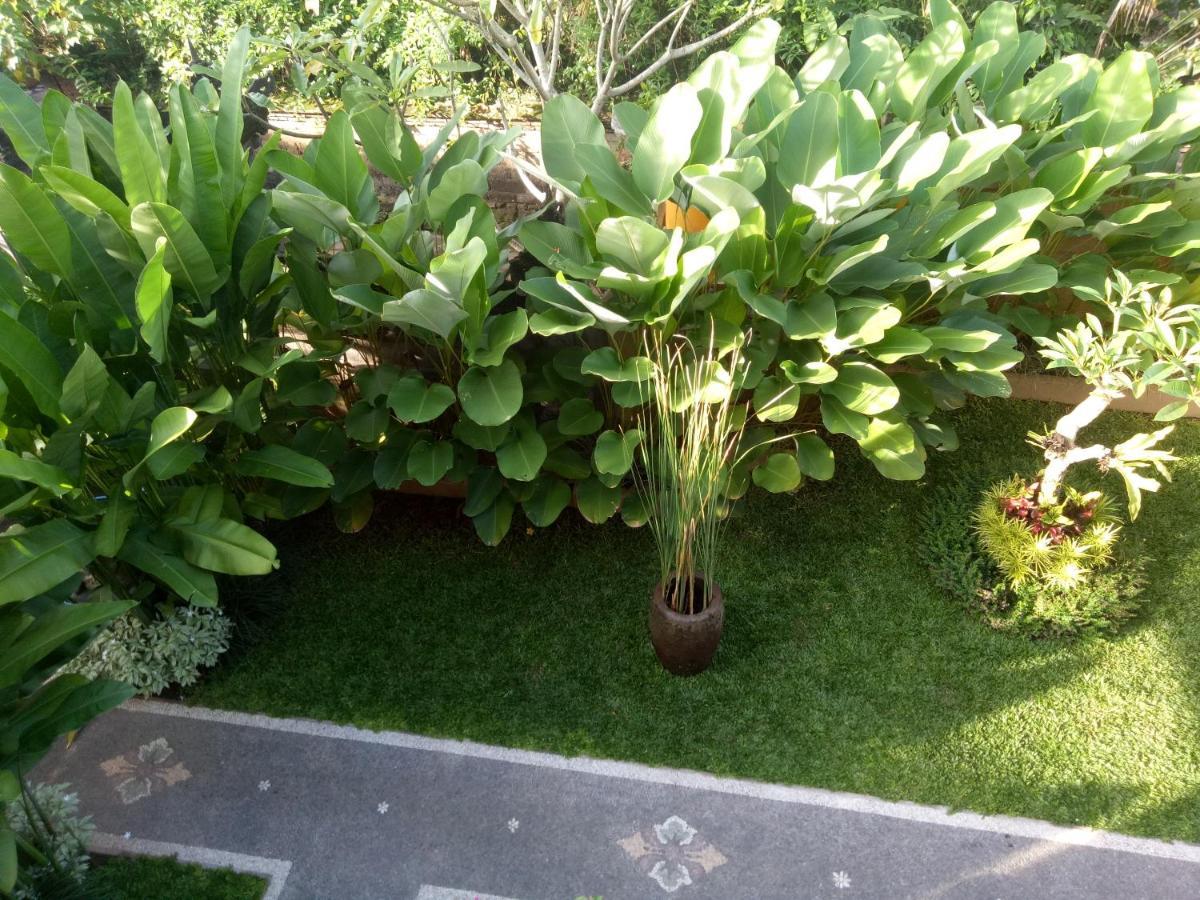 Suryadina Guest House Ubud Exteriör bild